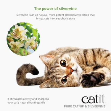 Catit Dried Catnip & Silverine Mix 28g